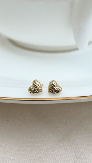 aretes (copia)