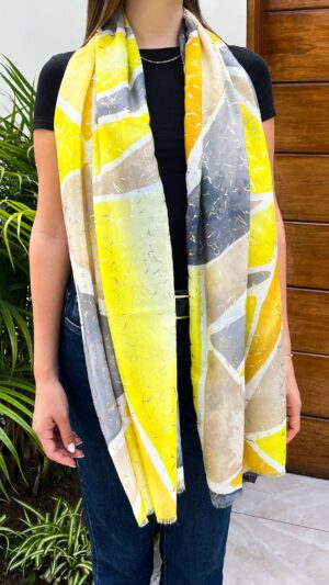 correa de hebilla ancha